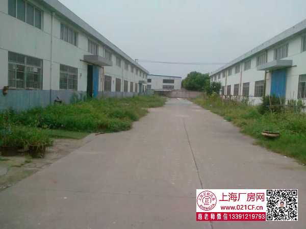 G1756 金山區(qū)漕涇鎮(zhèn)亭衛(wèi)公路單層廠房倉庫出租 可分租 0.65元起  丙類消防  104地塊可環(huán)評