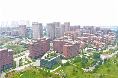 青島國際招商產(chǎn)業(yè)園：全球精準(zhǔn)招商 打造優(yōu)勢(shì)產(chǎn)業(yè)集聚高地